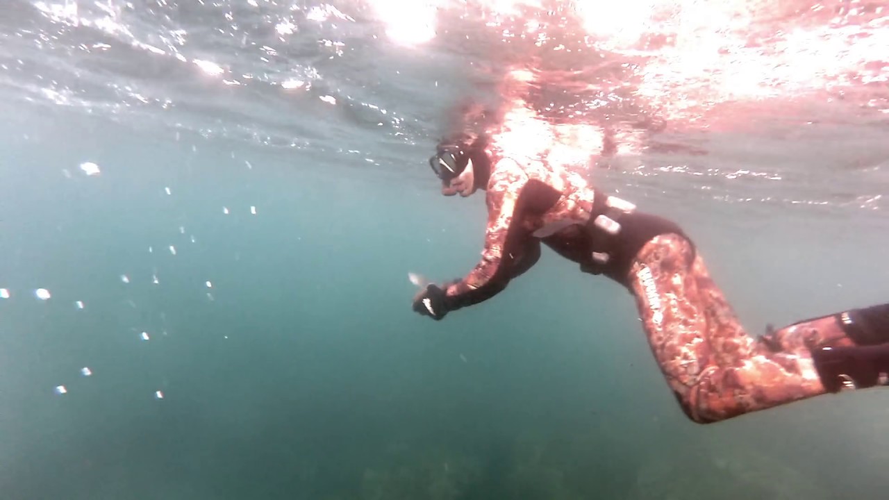 Spearfishing In New Zealand YouTube