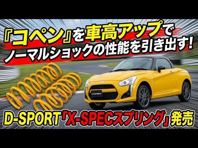 D-SPORT 