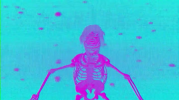 The Network - Degenerate