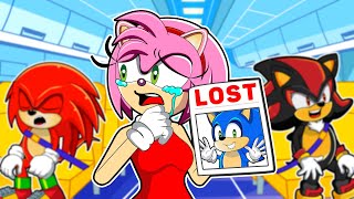 BaBy Sonic Where Are You Going? | Sonic's Family Story | Sonic the Hedgehog 2 Animation