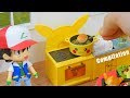 Pokemon miniature compilation