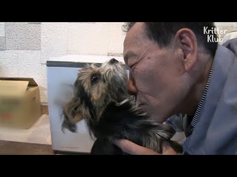Video: Dog Alerts Staff Staff Untuk Kejam Pemiliknya