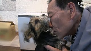 Shocking Secret Of A Dog Who They've All Thought Was A Stray Dog | Kritter Klub