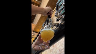 Endless memories along this exhilarating DC beer trail