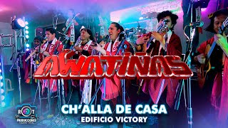 Awatiñas en Vivo (Mix Folklore 2024) | Challa de Casa 