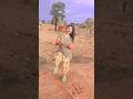 apan sajaniya banaibi !!#shortsvideo !!# viraldance!!#anokha !!#@vijayriyavlogs4906
