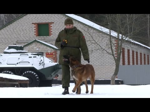 Военное обозрение 09.03.2023 // Личное дело девушки-кинолога