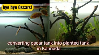 Converting 4ft Oscars tank into planted tank in low budget in Kannada | Oscars Give away for friend.