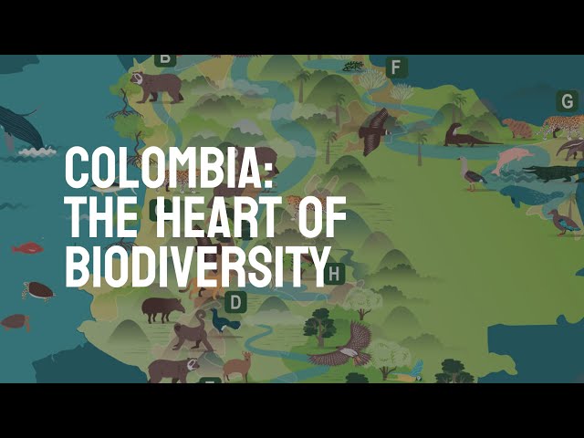 Colombia Is the Heart of Biodiversity