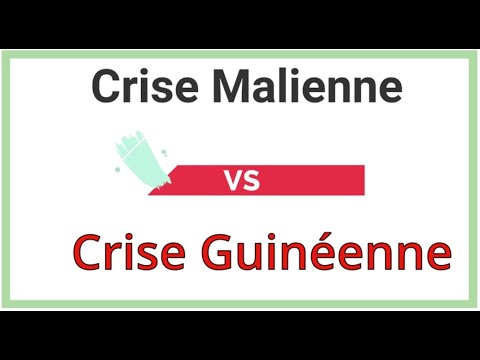 Crise Malienne VS Crise Guinéenne la CEDEAO applique le principe de « deux poids, deux mesures »