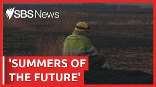 "Summers of the future": Climate scientists warn | SBS News