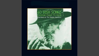 Video thumbnail of "The Original Irish Boys - Marie's Wedding"