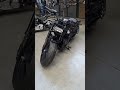 Harley Sportster S 2024.