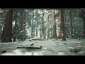 Awesome Winter Forest UE4 (Photorealistic Graphics Redwood Scene)