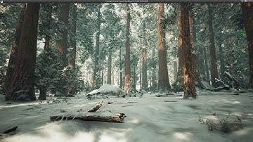 Awesome Winter Forest UE4 (Photorealistic Graphics Redwood Scene)