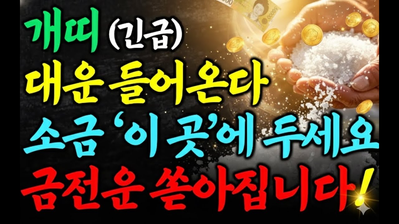 🔥 [개띠 필독] 2026년, 이거 안 하면 돈 다 샙니다 ⚠️｜소금 풍수 재물 비법 🧂💰