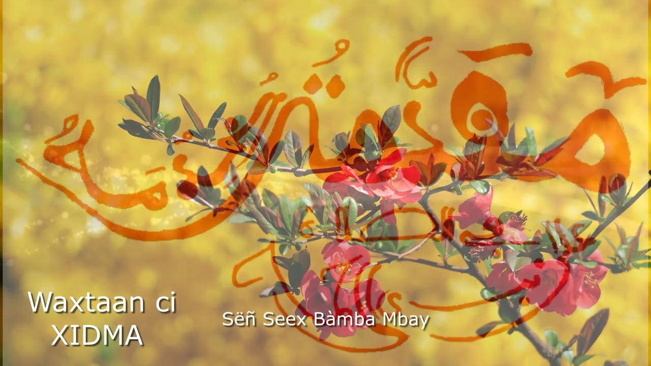 Waxtaan ci XIDMA (salaatuy min asmaaihii yi): Sëñ Seex Bàmba Mbay