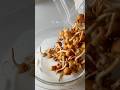 \味噌汁だけじゃない！/1番美味しいナメコの食べ方🍄詳しいレシピは↗️説明欄をチェックしてね　#なめこ#きのこ#レシピ #簡単レシピ #料理 #recipe #おうちごはん #shorts
