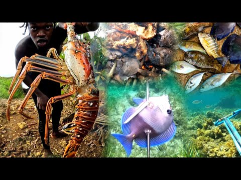 Spearfishing For Food | Catch Clean ñ Cook | Folly Ruins Portland Jamaica🇯🇲 | Must Watch