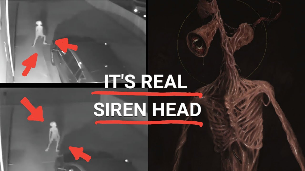 proof that siren head exist｜TikTok Search