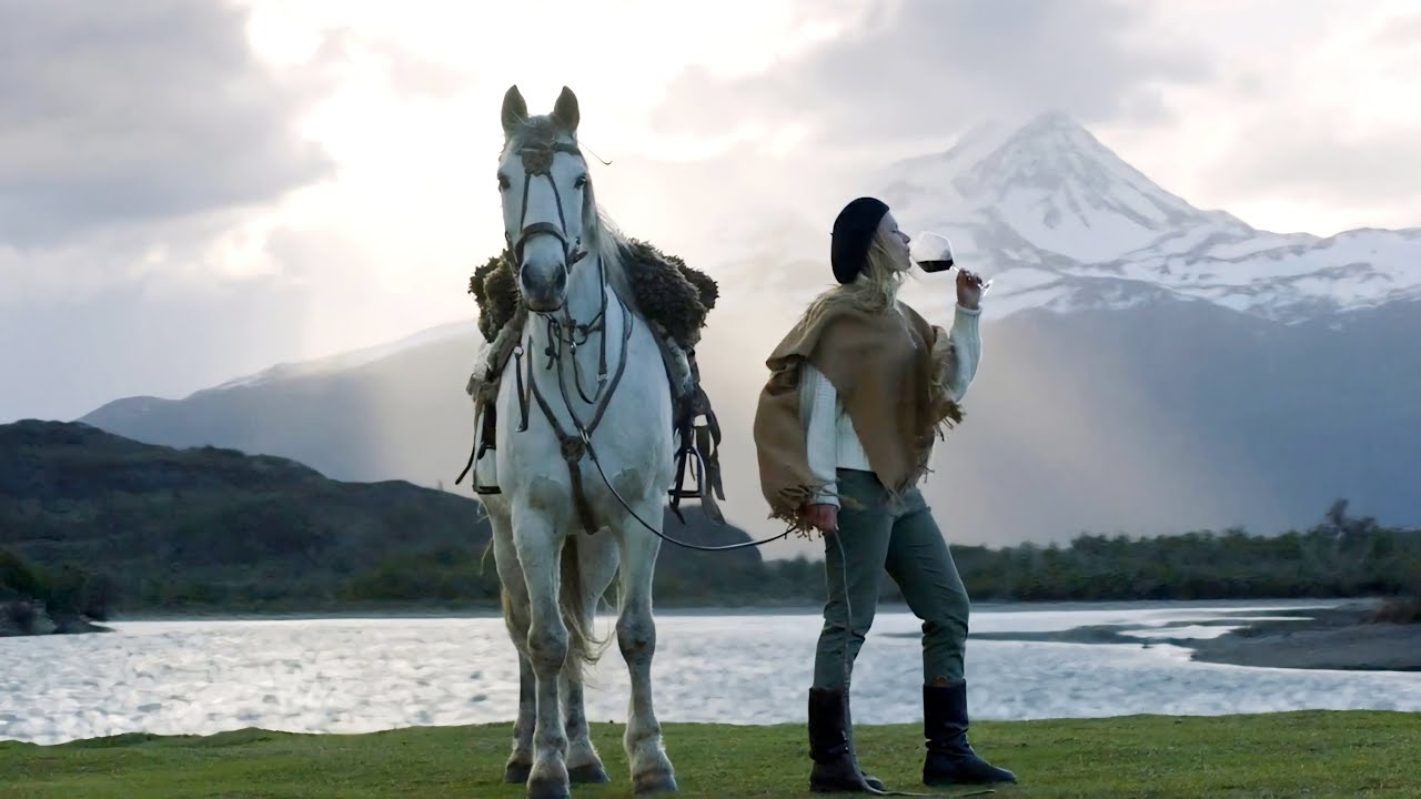 Taste The Untamed | Wines of Chile