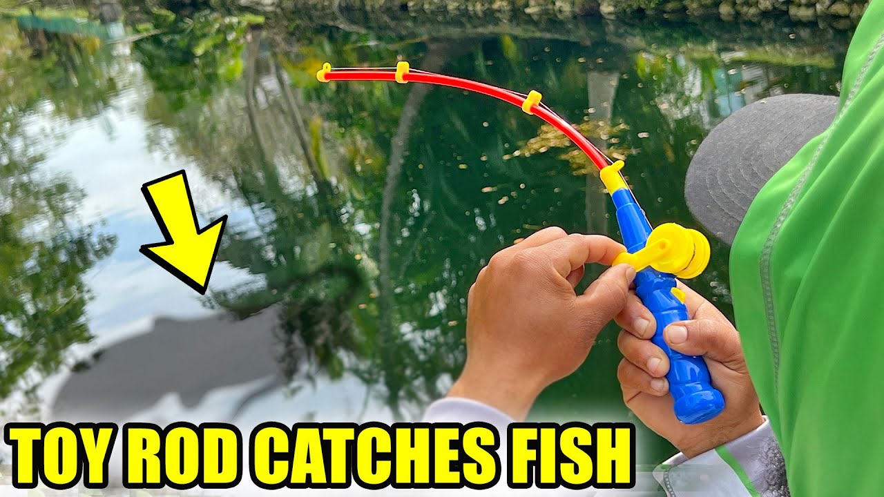 CATCHING FISH with TOY FISHING ROD from Dollar General