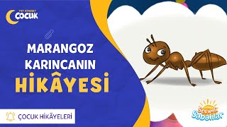 Trt Diyanet Çocuk Hikâyeleri Marangoz Karıncanın Hikâyesi Sevimli Sabahlar