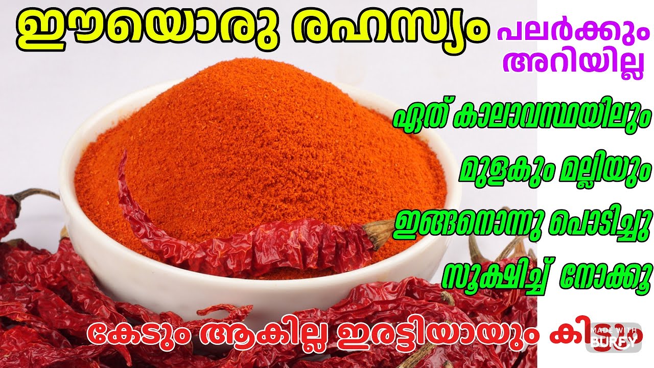 ഇങ്ങനെ മുളകും മല്ലിയും പൊടിച്ചു വെച്ച് നോക്കൂ ഒരിയ്ക്കലും കേടാകില്ല | How to make Chilli powder