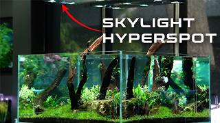 Inside Green Aqua: 2 Breathtaking Walkaround Aquariums | Budapest