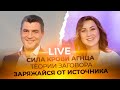 LIVE Сергей Зуев - ТЕОРИИ ЗАГОВОРА, ЗАРЯЖАЙСЯ ОТ ИСТОЧНИКА,  СИЛА КРОВИ АГНЦА