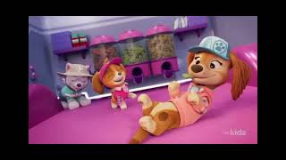 Skyes Road Trip Rescue Special Song. Paw Patrol Season 11
