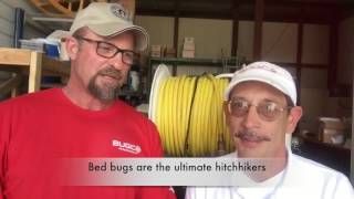 Where Do Bed Bugs Come From in the Houston Area