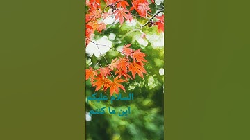 القرآن الكريم/سورة الإسراء القارئ الحاج عامر الكاظمي/اللهم صل وسلم على نبينا محمد