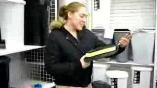 the calphalon griddle! Calphalon Short Order Griddle