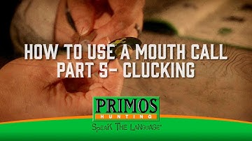 How to Use a Mouth Turkey Call Part 4 - Clucking