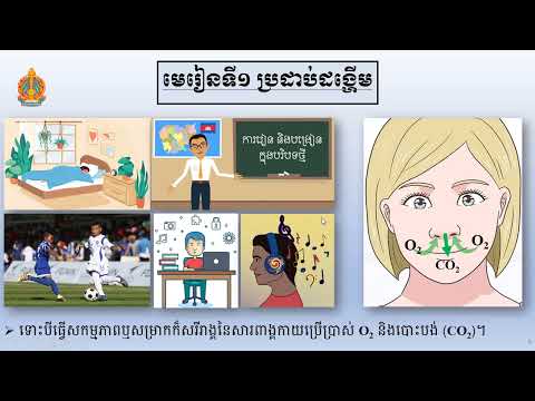2 K8BIOEP1៖ ជីវវិទ្យាថ្នាក់ទី៨៖ជំពូក៤៖ មេរៀនទី១៖ ប្រដាប់ដង្ហើម លោកគ្រូ សឹម រដ្ឋា