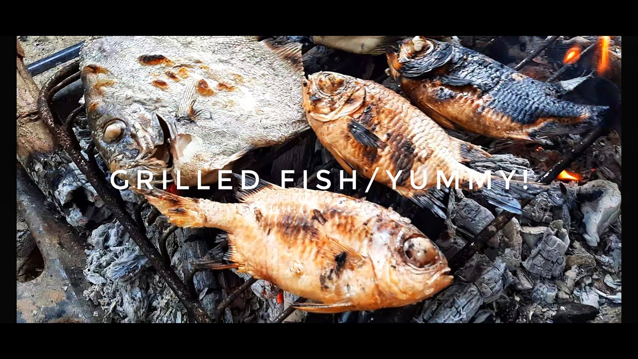 Grilled fish/yummy! - YouTube