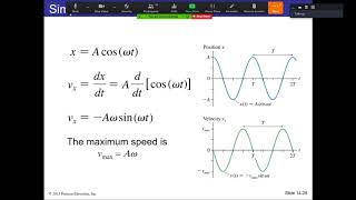 PHYS 110 - Chapter 14 part 1 - Simple Harmonic Motion
