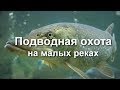 Подводная охота на Ингуле.