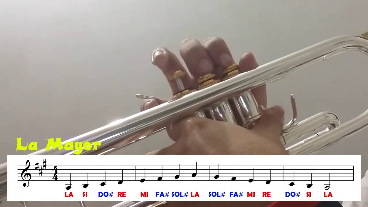Escalas Mayores -  Sostenidos / Trompeta [2016]