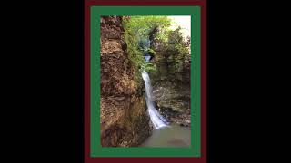 Coffee Break (5 Minutes with God) Psalm 81:13-16