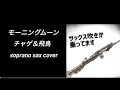モーニングムーン チャゲ&飛鳥 sopranosax