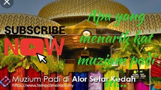Apa yang best kat muzium padi, kedah ni? #muziumpadi #kedah #perlis #Padi #pesawah