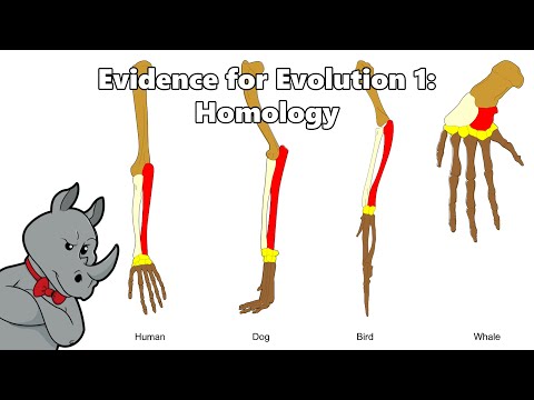 The Evidence for