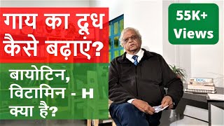 बायोटिन, Vitamin B7 या विटामिन - H क्या है? तथा यह दूध कैसे बढ़ाता है। What is Vitamin - H or Biotin?