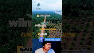 lima perusahaan sawit omzet triliunan #palmoil #sawit