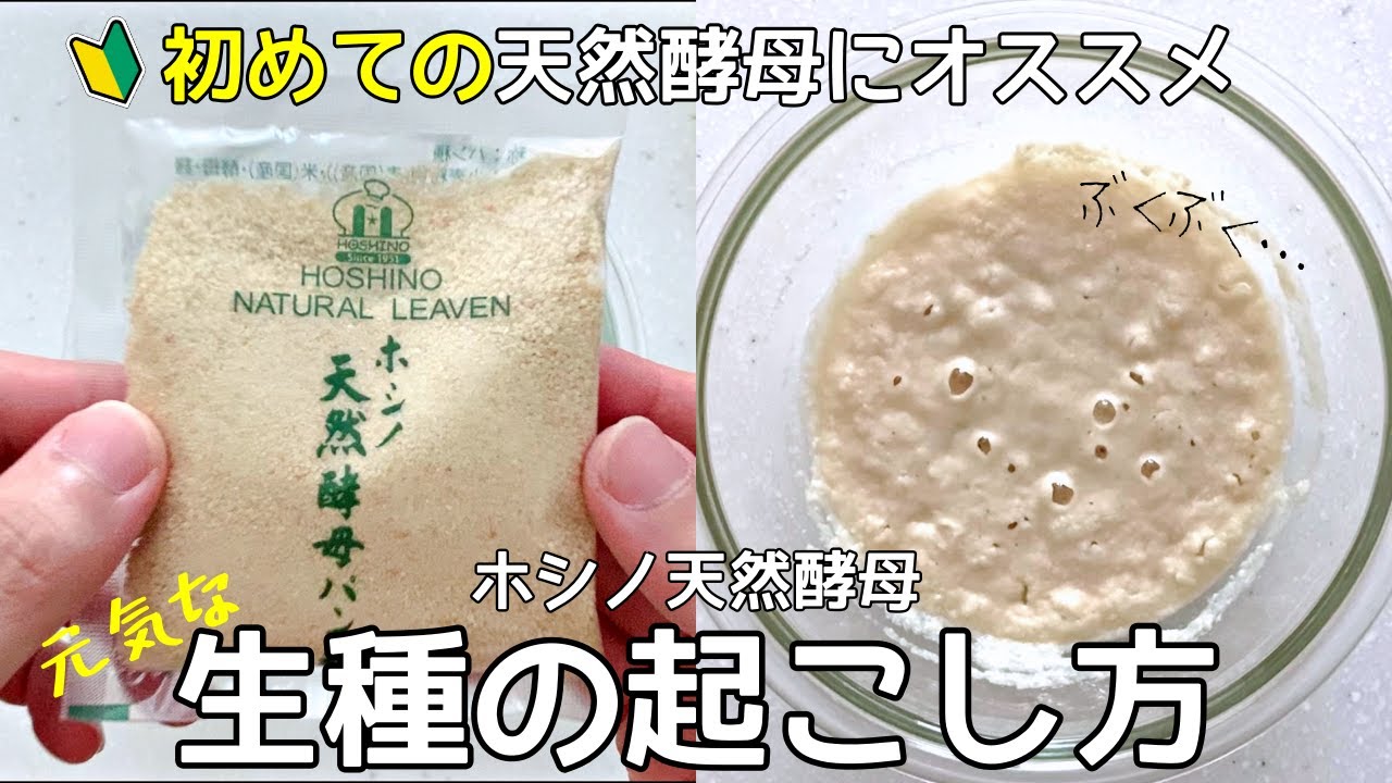 天然酵母 初心者必見】簡単！ホシノ天然酵母 生種の起こし方解説