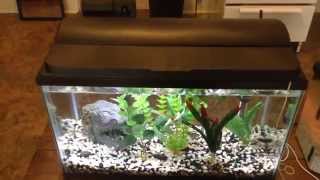 aqueon hood light replacement