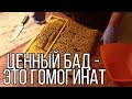 Гомогенат или трутневое молочко. Как сделать и хранить трутневый гомогенат.