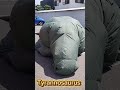 Dinosaur shooting game event production / Tyrannosaurus Inflatable / 恐竜シューティング ティラノサウルス #Dinosaur
